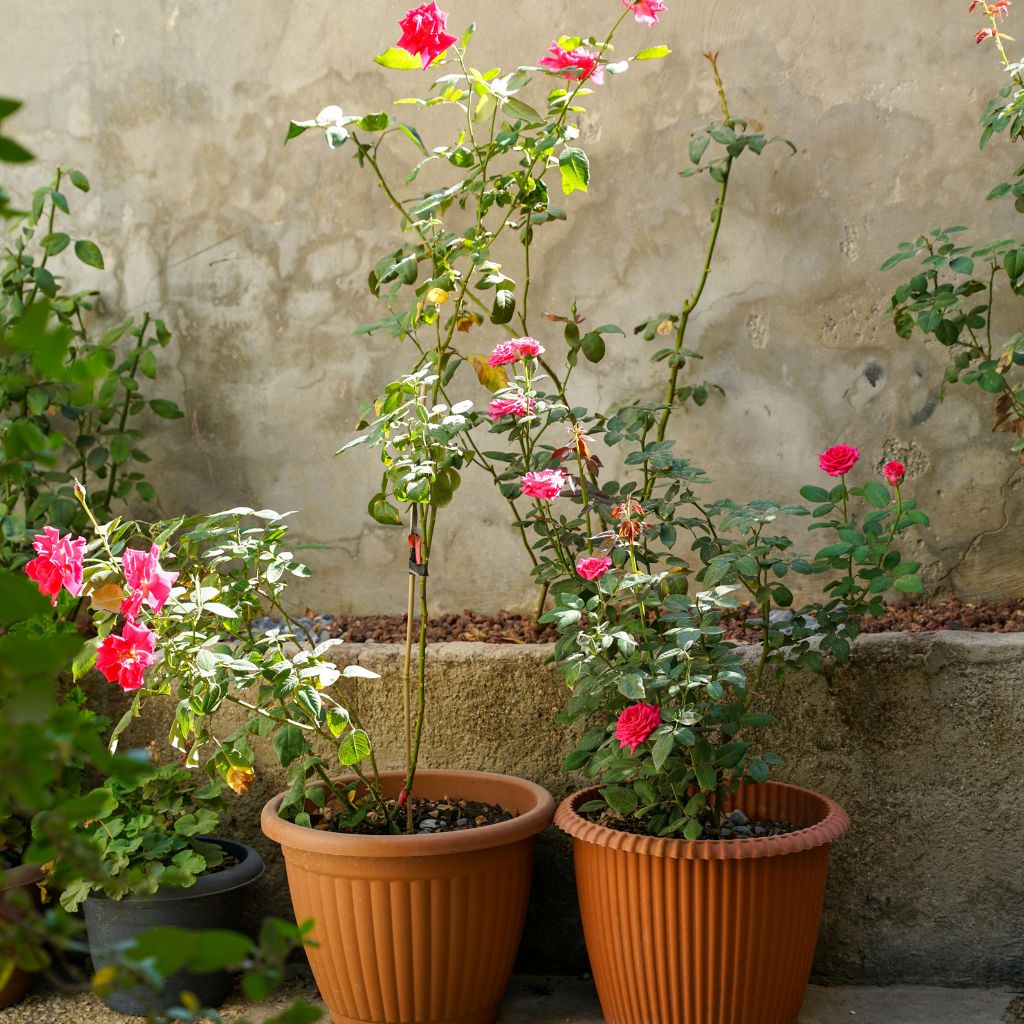 Návrh bez názvu - 2026-03-11T183441.275